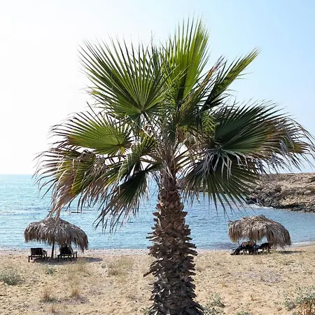 Apartman Private In A Evens Mini With Terrace & Garden In Dipkarpaz *