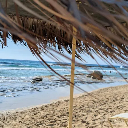 Apartman Private In A Evens Mini With Terrace & Garden In Dipkarpaz Jéri