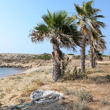 Private In A Evens Mini With Terrace & Garden In Dipkarpaz *